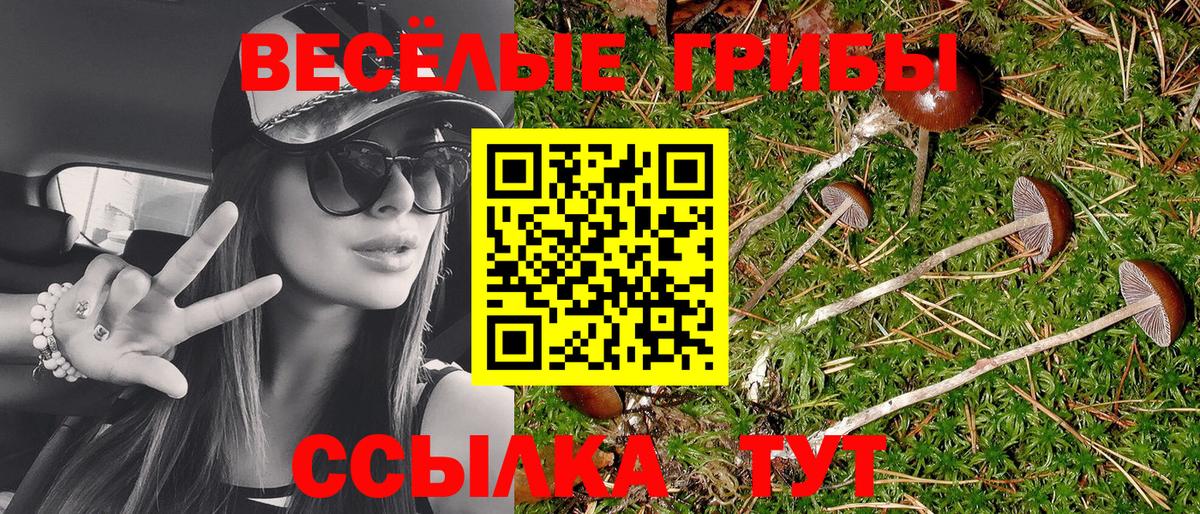 Юрга  Галлюциногенные грибы Magic Shrooms  Псилоцибиновые грибы ЛСД  Вход с VPN 