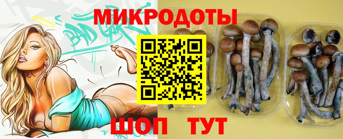 Псилоцибиновые грибы прущие грибы Юрга